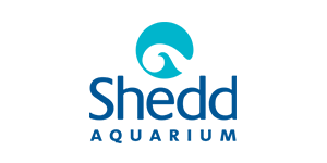 Shedd Aquarium