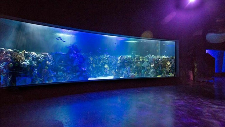 英布爾薩水族館的大型水族箱