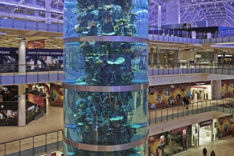 阿維亞公園購物中心的大型圓柱形水族館