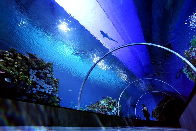 藍色星球水族館