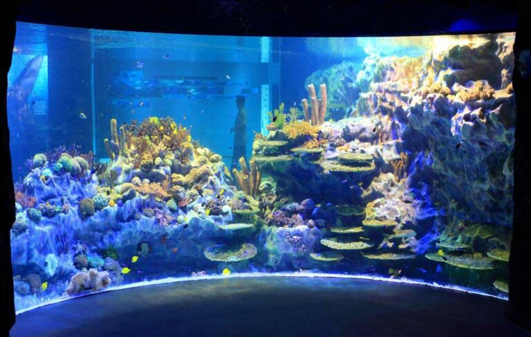 Chengdu Aquarium