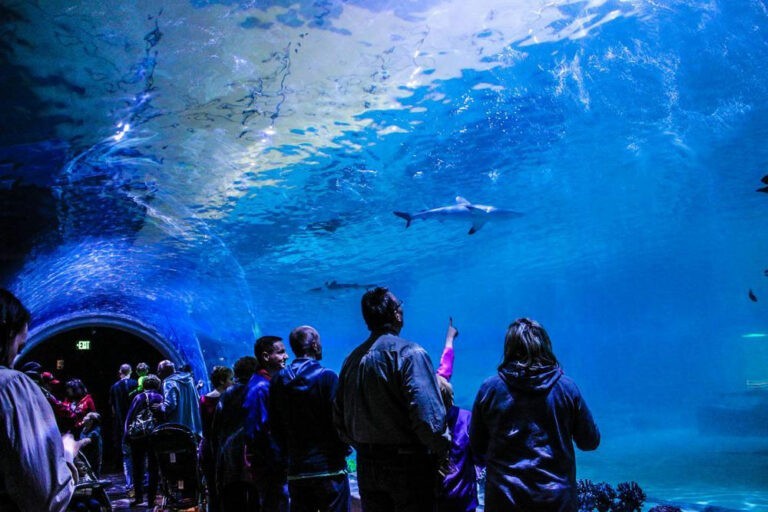 活星球水族館