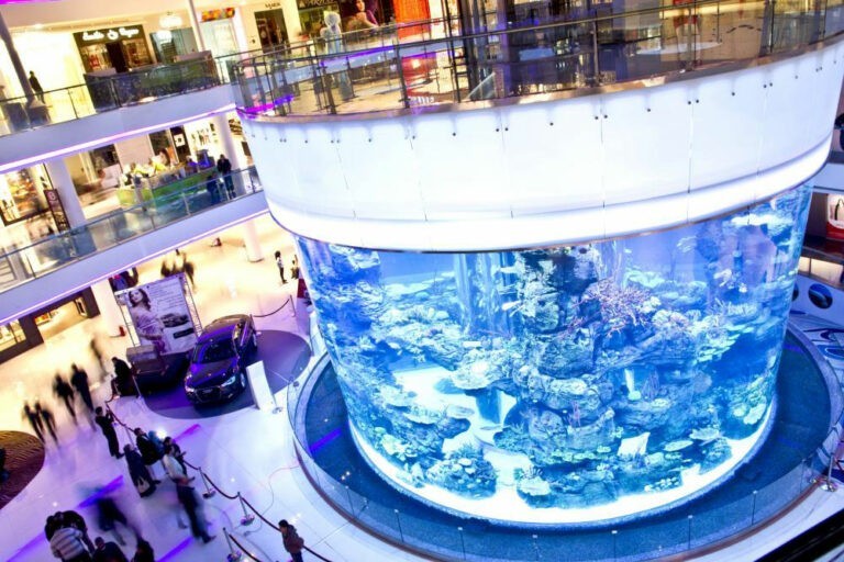 Morocco Mall aquarium with elevator
