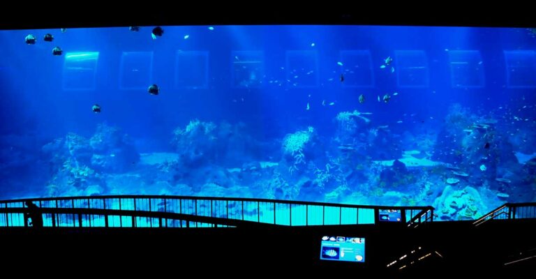 聖淘沙世界水族館