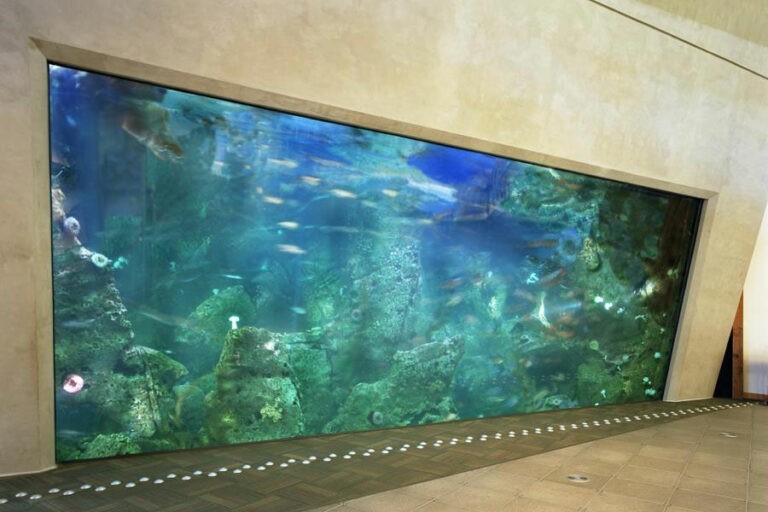 西雅圖水族館
