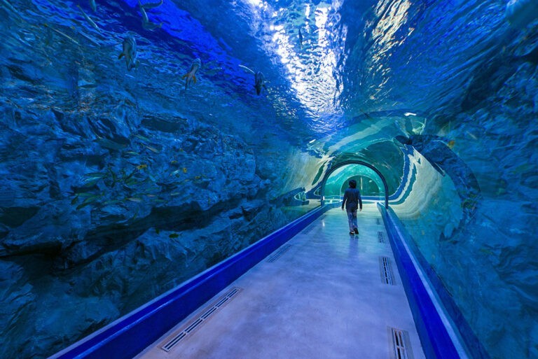 水族館的隧道