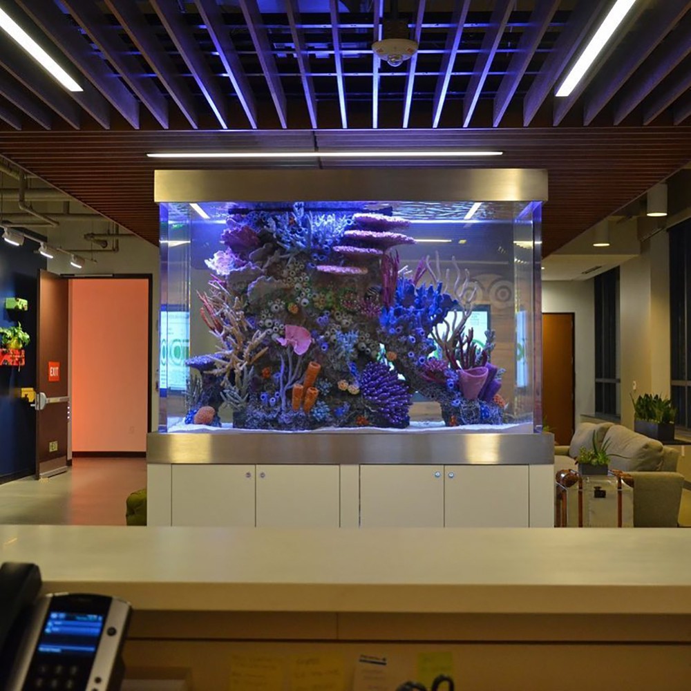 indoor aquarium at a hotel